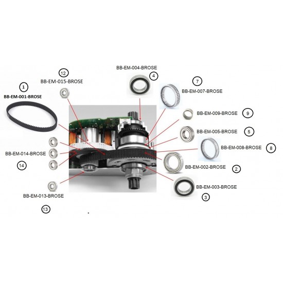 Black Bearing e-bike service kit Brose motor szabadonfutó egység EM-008-BROSE