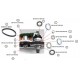 Black Bearing e-bike service kit Brose motor szabadonfutó egység EM-008-BROSE