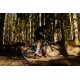 COLNAGO C72 Road DISC tárcsafékes országúti kerékpár váz vázszett CC02 integrált karbon kormánnyal