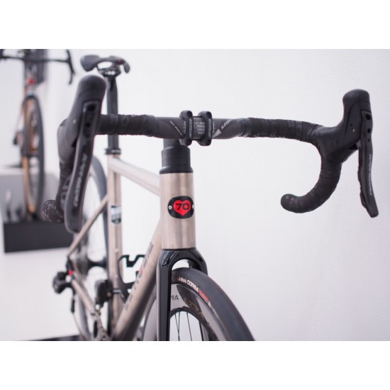 De Rosa Anima road bicycle titan titanium frame fork frameset