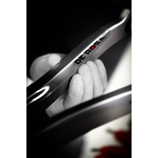 DE ROSA váz védő fólia matrica, logo, hátsó támvillára láncvillára