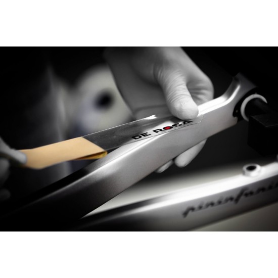 DE ROSA váz védő fólia matrica, logo, hátsó támvillára láncvillára