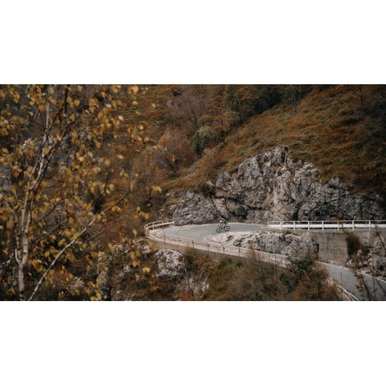 DEDA Allroad DB road / gravel bicycle disc brake karbon wheelset, tubeless ready